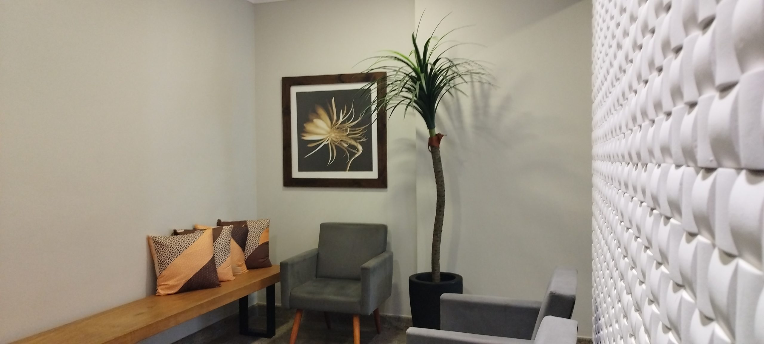 imagens clinica (6)